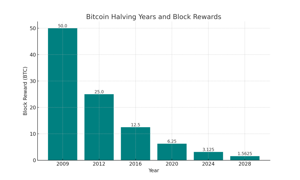 bitcoin halving rewards bar chart